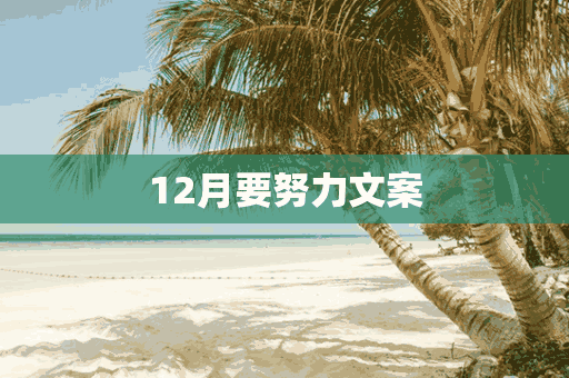 12月要努力文案(12月努力的文案)